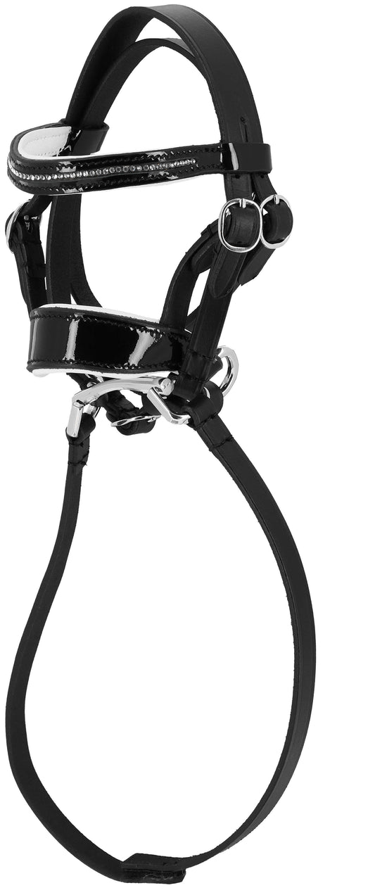 Mini-idon PONY ACADEMY - Strass - Br - T.Pony