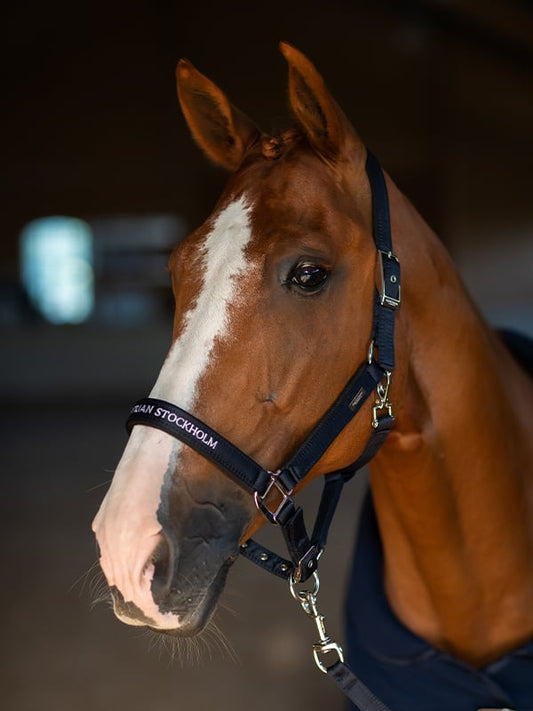 Clean cabezada de cuadra & ramal Equestrian Stockholm Clean cabezada de cuadra Modern Tech Navy para equitación - vista 2