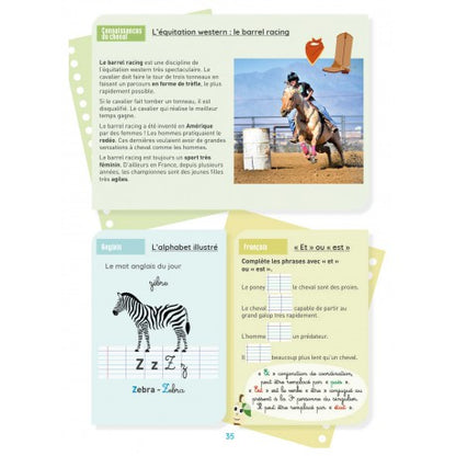 Mon Cahier d'Activités - Niveau CE2 - Lavauzelle - T.039