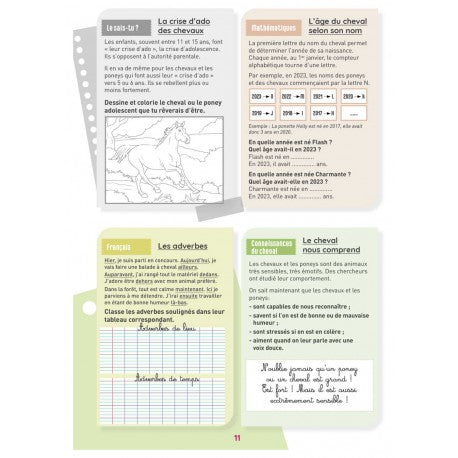 Mon Cahier d'Activités - Niveau CM1 - Lavauzelle - T.039
