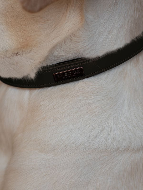 Dog Collar Clean Equestrian Stockholm Dog Collar Clean Moonless Night detalle 2