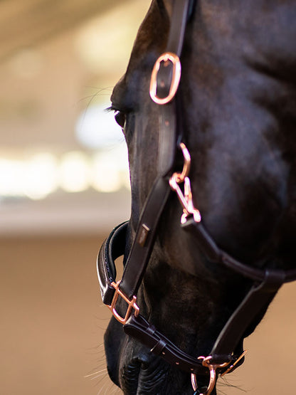 Anatomic Glimmer Leather Halter Equestrian Stockholm Glimmer Anatomic Leather detalle 3