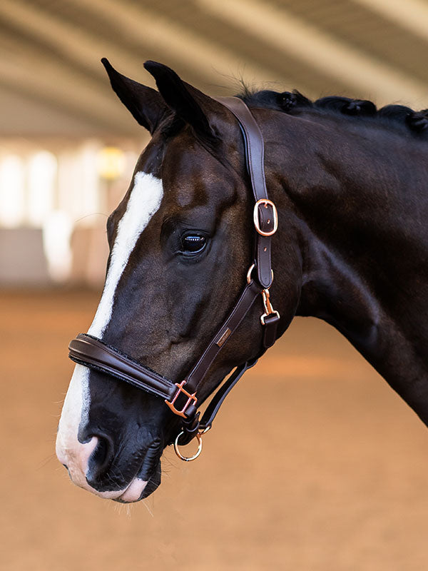 Anatomic Glimmer Leather Halter Equestrian Stockholm Glimmer Anatomic Leather detalle 5