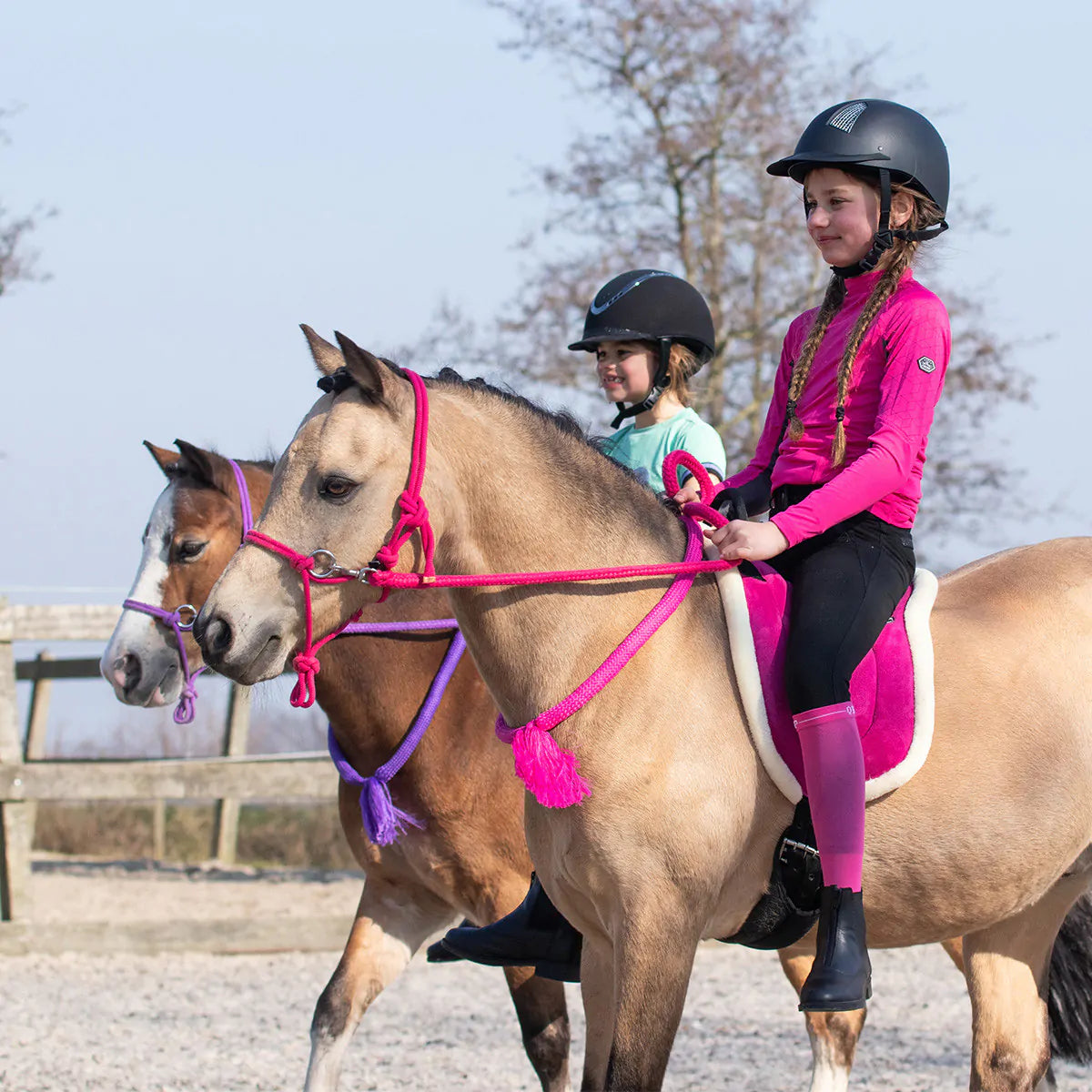 Ramales y cuerdas cordón cervical QHP para equitación - vista 12