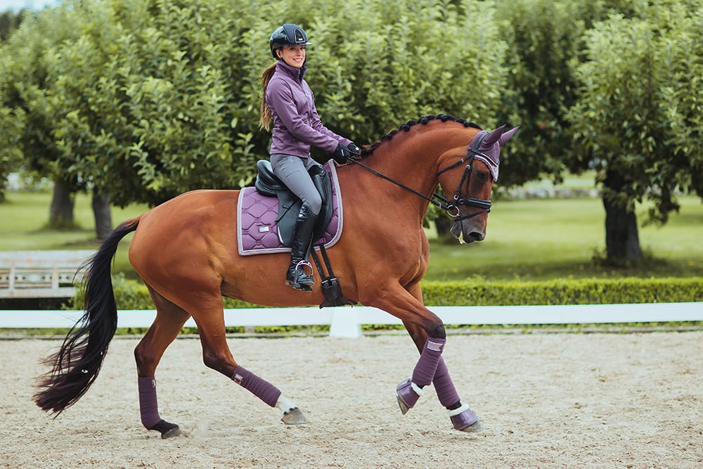 Riding Breeches Elite Equestrian Stockholm Riding Breeches Elite Grey detalle 7