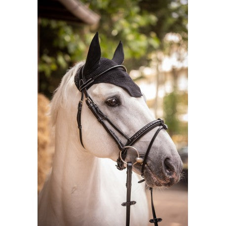 Orejeras "Pro Coton" - Paddock para equitación - vista 6