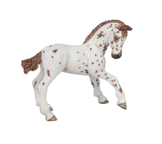 Potro appaloosa - Papo