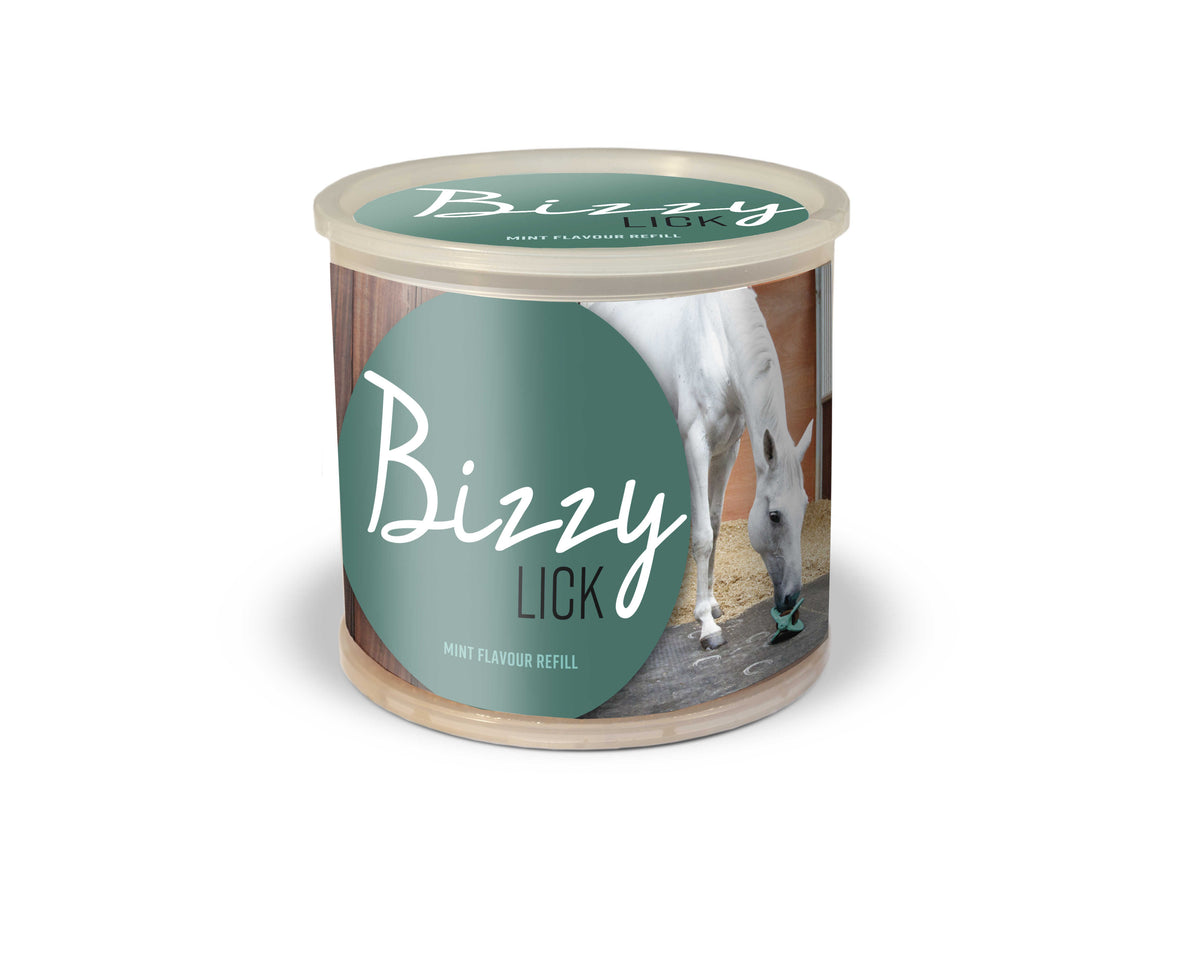 Piedra - Bizzy Lick - Bizzy Horse