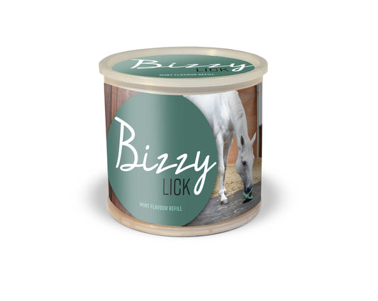 Piedra - Bizzy Lick - Bizzy Horse