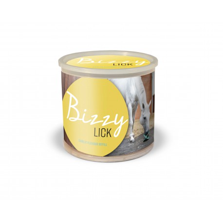 Piedra - Bizzy Lick - Bizzy Horse