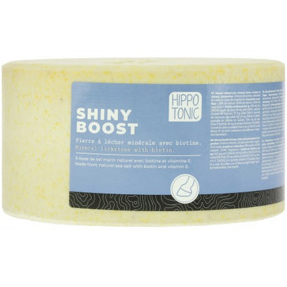 Piedra de sal – Shiny Boost - Hippotonic - Hippotonic