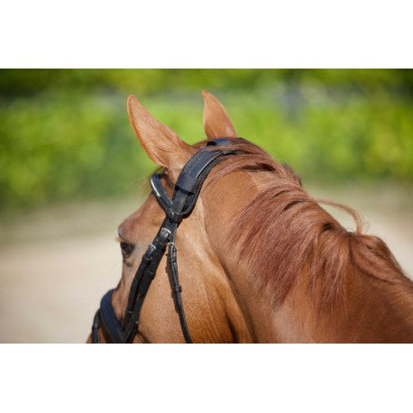 Protector de cuello ® con velcro - Back On Track - Rojo