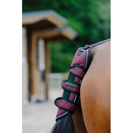 Protector trasero - TYREX 1200D - Equithème - Rojo para equitación - vista 2