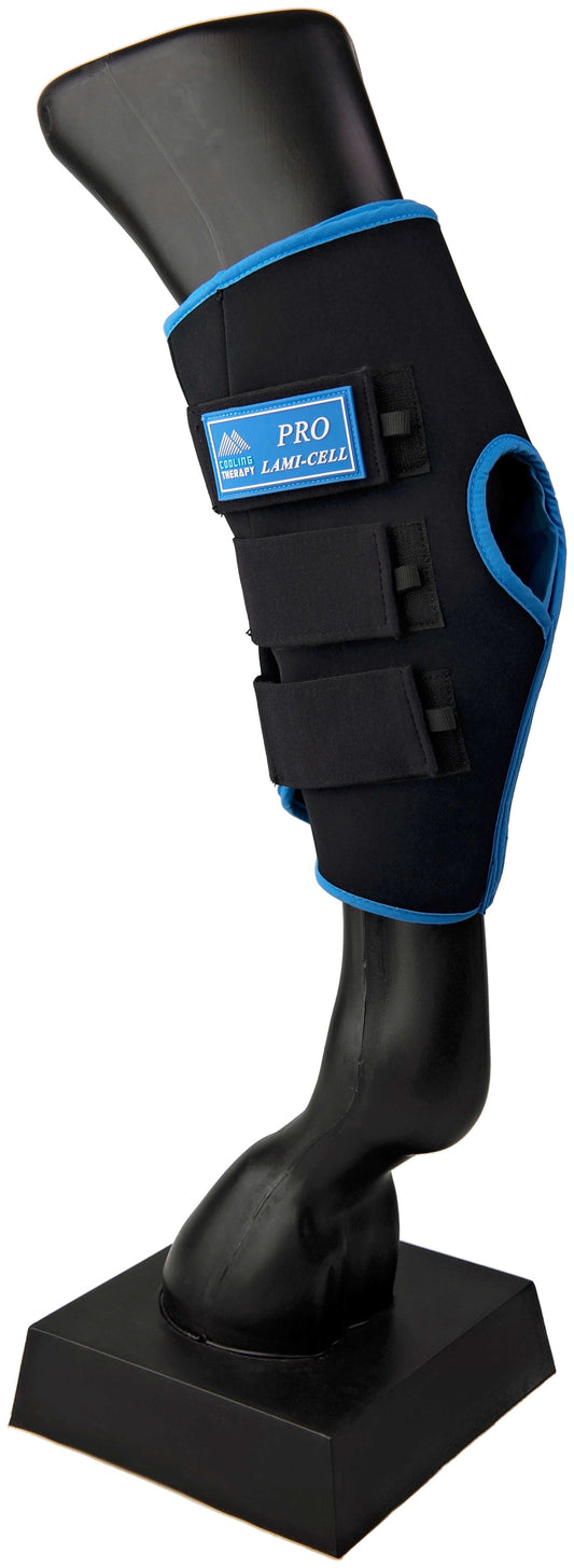 Protectores de corvejones - de hielo - Lami-Cell - Rojo