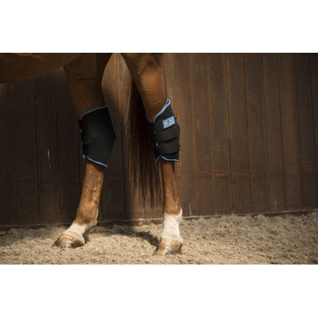 Protectores de corvejones - Botas de hielo - Lami-Cell - Rojo
