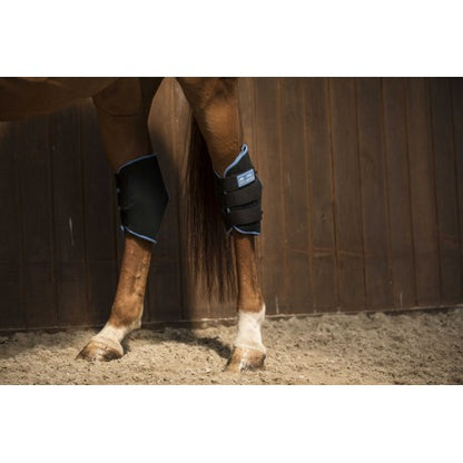 Protectores de corvejones - Botas de hielo - Lami-Cell - Rojo