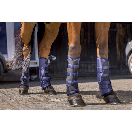 Protectores de fondo para transporte - Riding World - Rojo para equitación - vista 4