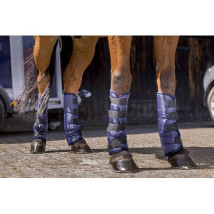 Protectores de fondo para transporte - Riding World - Rojo para equitación - vista 4
