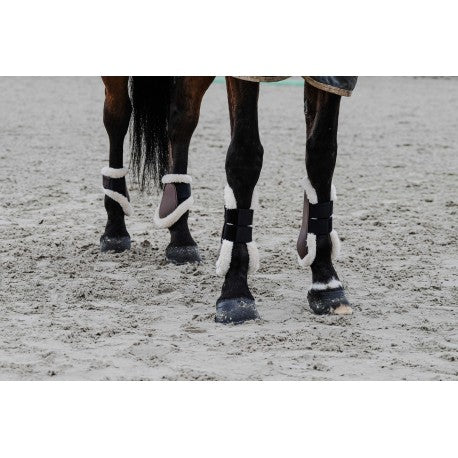 Protectores de menudillo - Boa - Equithème - Rojo para equitación - vista 5