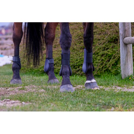 Protectores de menudillo - Riding World - Rojo