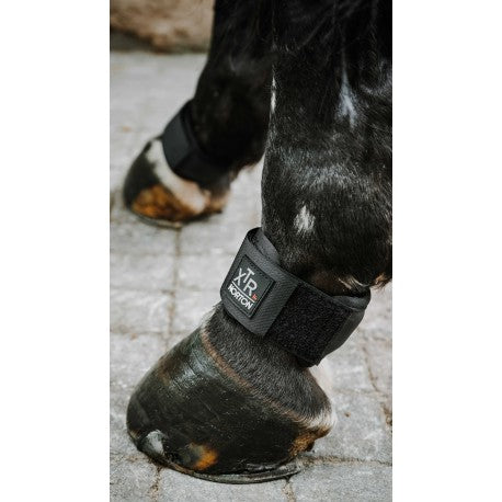 Accesorio ecuestre Protège paturon - XTR Gel - Norton - Rojo para equitación - vista 2