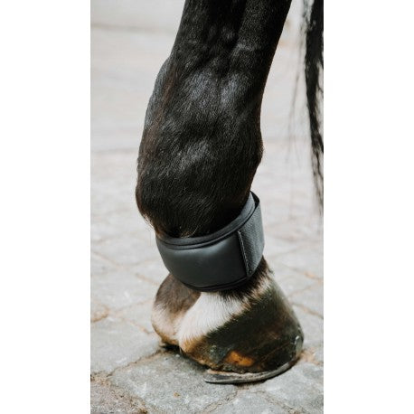 Accesorio ecuestre Protège paturon - XTR Gel - Norton - Rojo para equitación - vista 4