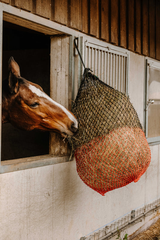 Red de heno fina - Hippotonic - Rojo