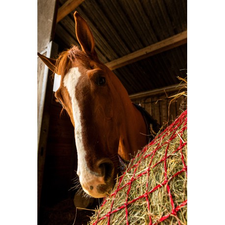 Red de heno - Zari - Hippotonic - Rojo