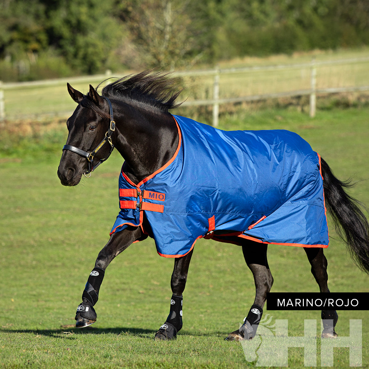 Manta Mio Pony Exterior Medium 200g HH