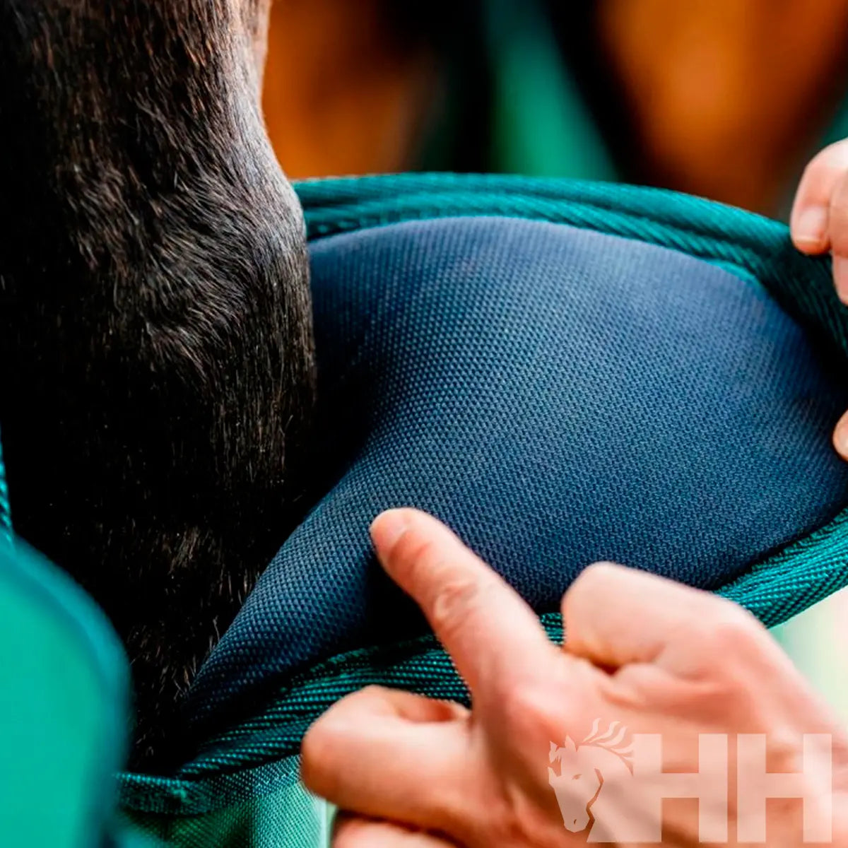 Protector transporte Horseware Signature (PAR) Hispano Hípica para equitación - vista 3