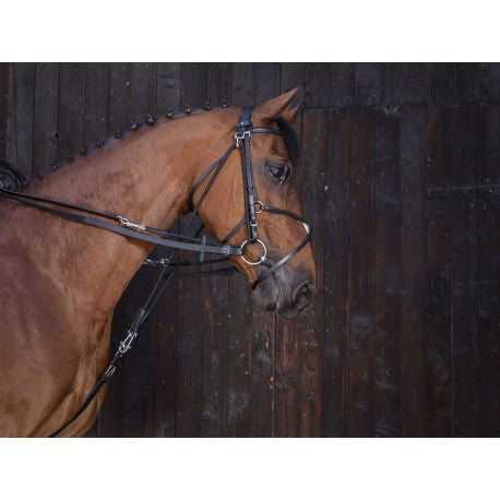 Riendas de gogue de cuero - Riding World