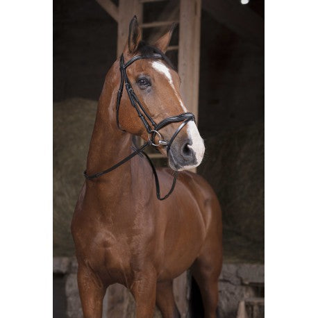 Riendas PRO - Supergrip - Norton para equitación - vista 3