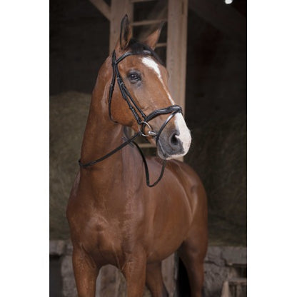 Riendas PRO - Supergrip - Norton para equitación - vista 3