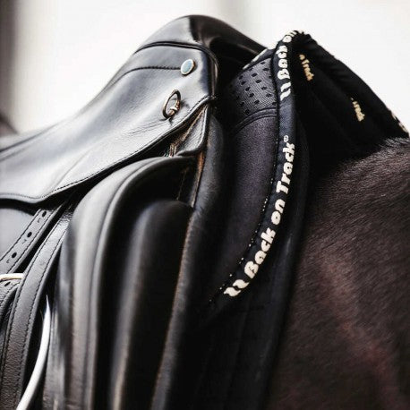 Salvacruz ® - Aurora - Back On Track