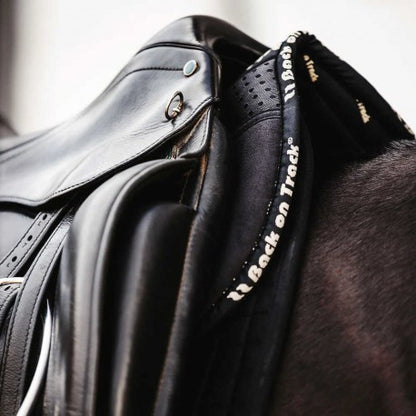 Salvacruz ® - Aurora - Back On Track