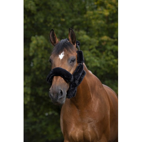 Set forro cabezada "Teddy" - Equithème para equitación - vista 2