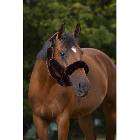 Set forro cabezada "Teddy" - Equithème para equitación - vista 4