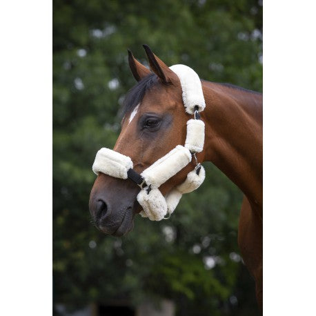 Set forro cabezada "Teddy" - Equithème para equitación