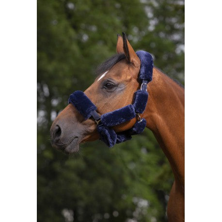 Set forro cabezada "Teddy" - Equithème para equitación - vista 5