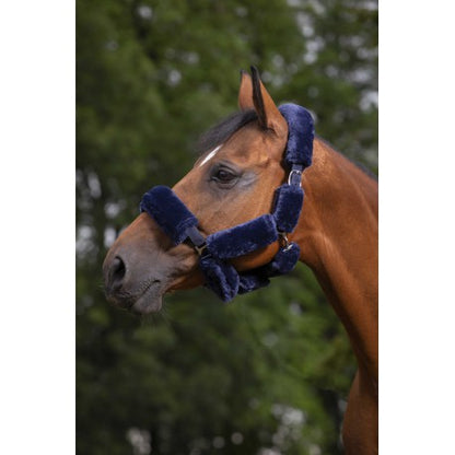 Set forro cabezada "Teddy" - Equithème para equitación - vista 5