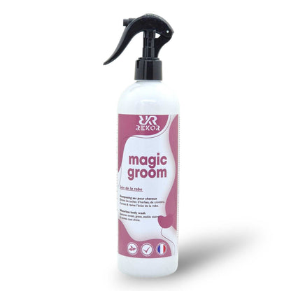 Shampoo seco - Magic Groom - Rekor