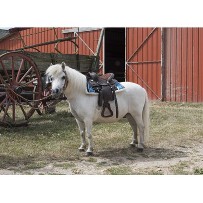 Silla western - Topeka - Westride