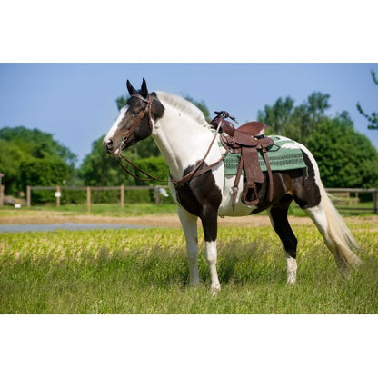 Silla western - Topeka - Westride