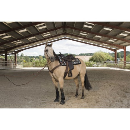 Silla WESTRIDE de - Arvada - Franck Perret