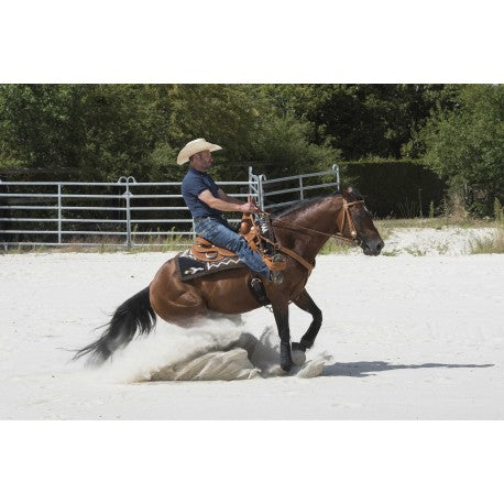 Silla WESTRIDE de - Aurora - Franck Perret