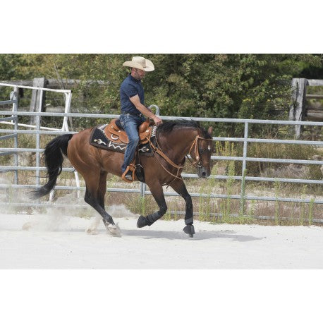 Silla WESTRIDE de - Aurora - Franck Perret