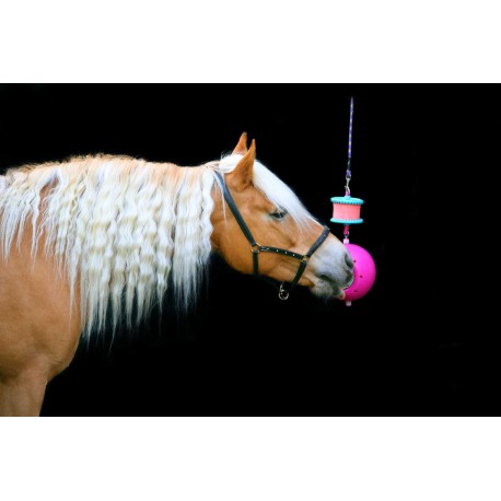 Accesorio ecuestre Soporte - Boredom breaker - Likit - Rojo para equitación - vista 4