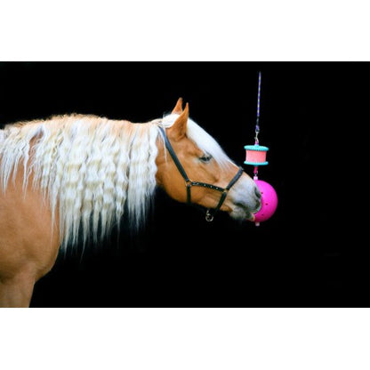 Accesorio ecuestre Soporte - Boredom breaker - Likit - Rojo para equitación - vista 4