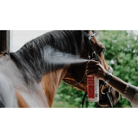 Protectores Spray desenredante y abrillantador - Show Coat - Rekor - Rojo para equitación - vista 6