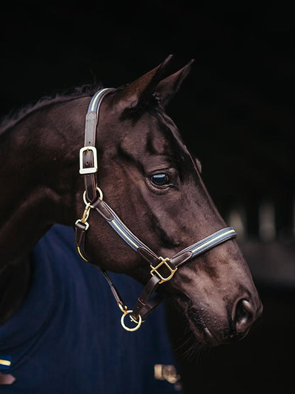 Leather Halter & Lead Chain Equestrian Stockholm Leather Halter & Lead Chain detalle 2